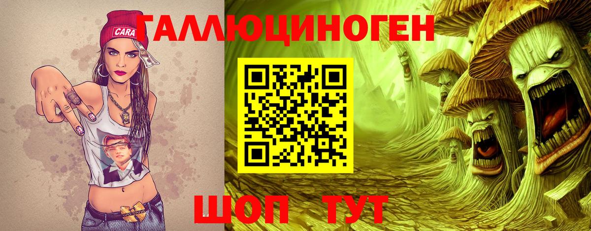 Псилоцибиновые грибы Cubensis Артёмовский