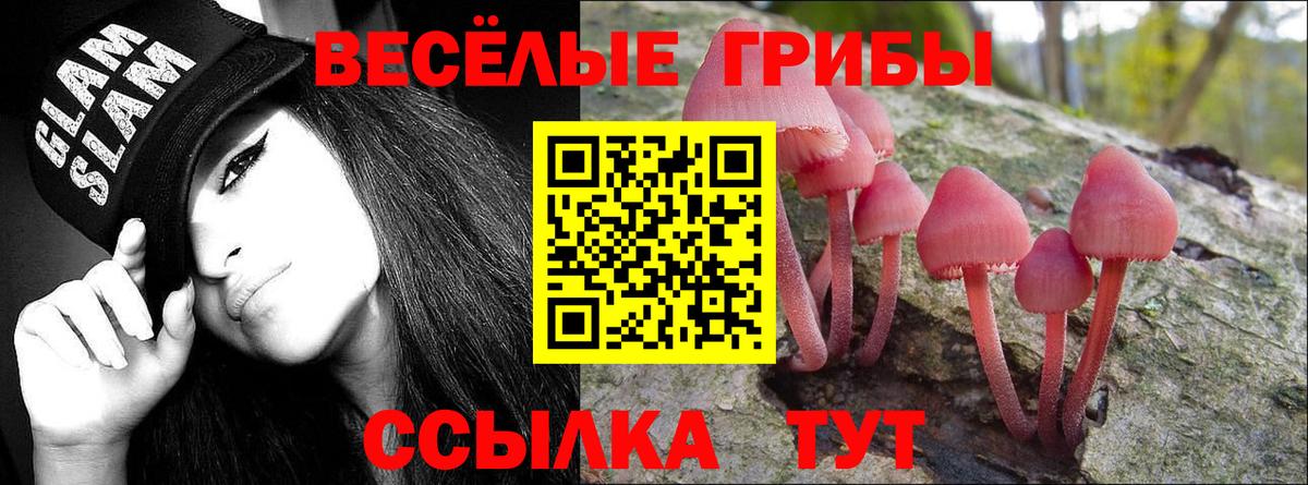 Галлюциногенные грибы прущие грибы Артёмовский