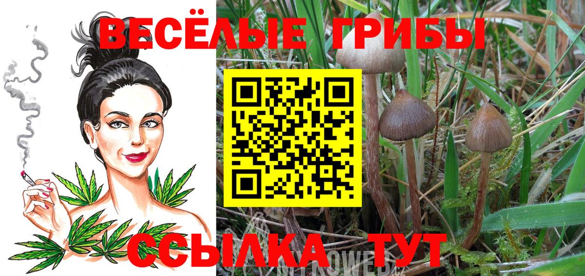 Артёмовский  Галлюциногенные грибы ЛСД  Вход с VPN  Галлюциногенные грибы GOLDEN TEACHER 